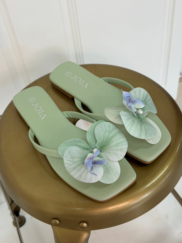 Bloom - Morning Glory Sandals - Green Sandaler 