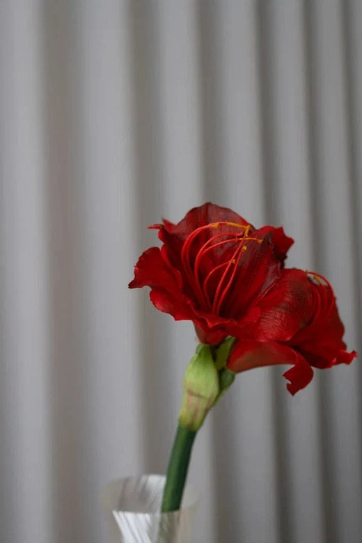 Bloom Objects - Artificial Amaryllis - Red 02-435 - Red 