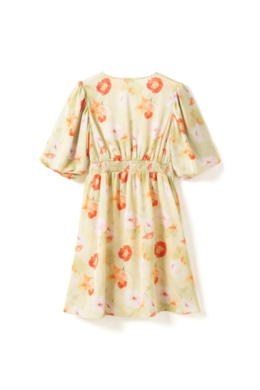 Noella - N-Lilliana Dress 15850002 - 1464 - Delina Green Print