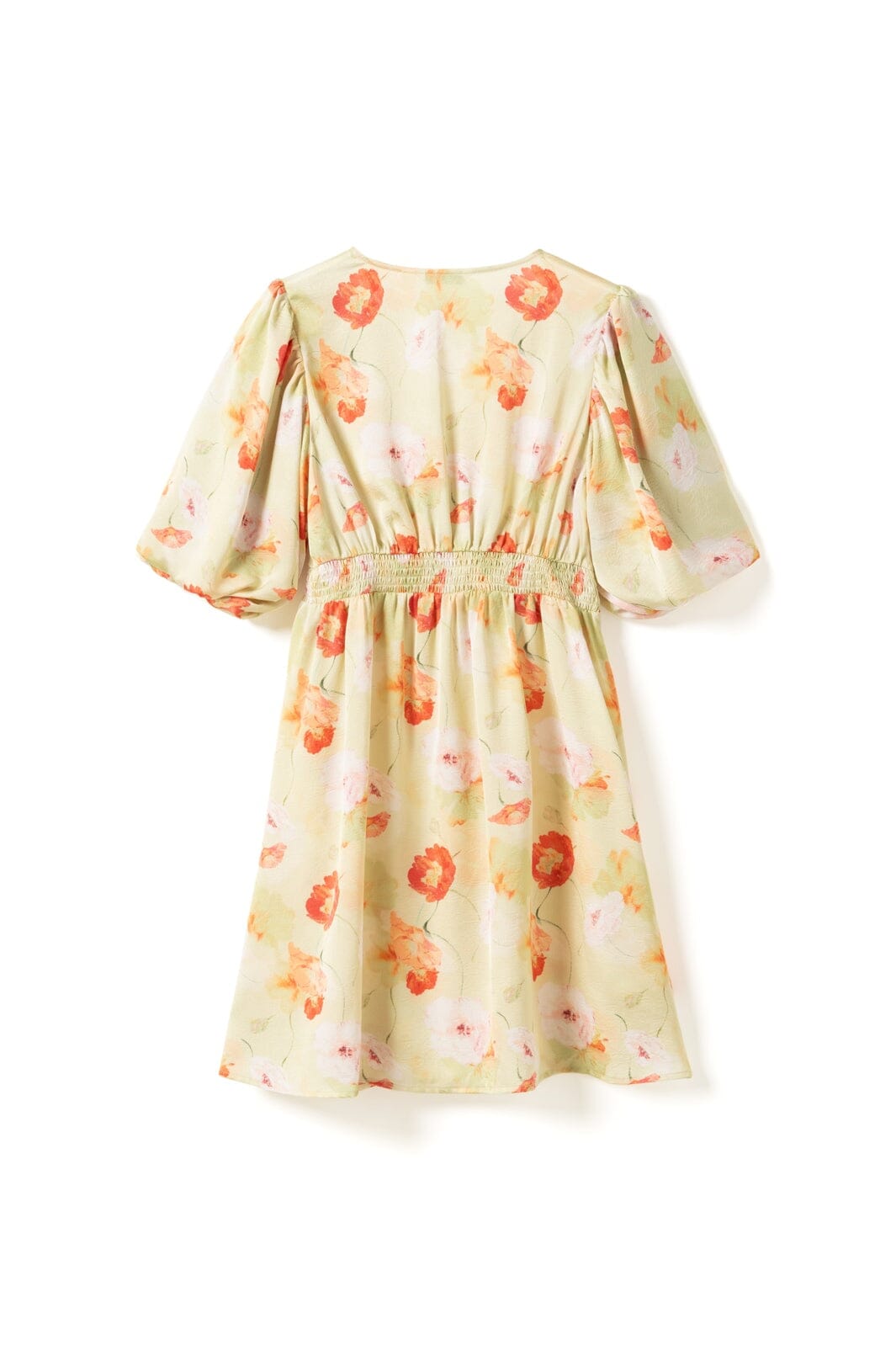 Noella - N-Lilliana Dress 15850002 - 1464 - Delina Green Print
